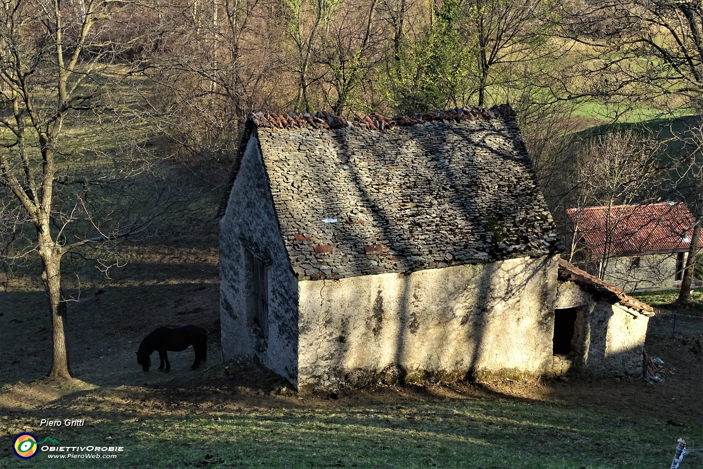 66 Cavallo al pascolo ad una antica baita in Vaccareggia.JPG